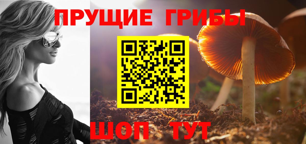 Галлюциногенные грибы Cubensis Северобайкальск